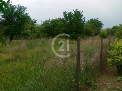 Predaj pozemku v Zbehoch okr Nitra 9,53 ár